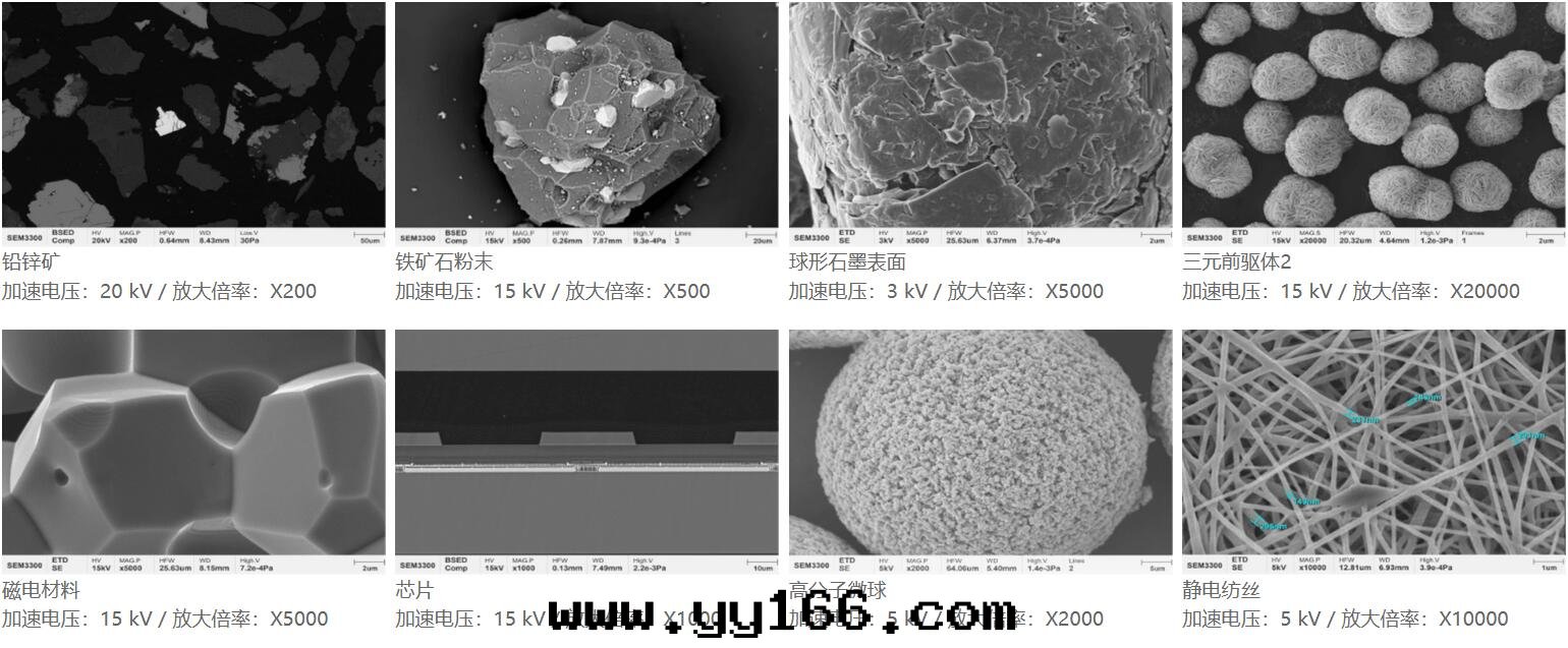 國(guó)仪量(liàng)子 SEM3300钨燈(dēng)丝(sī)掃描电子顯微鏡(jìng)應(yìng)用(yòng)案(àn)例