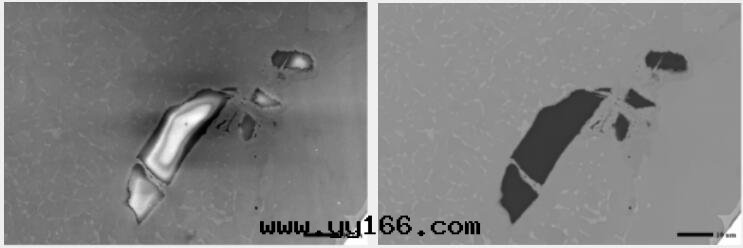 國(guó)仪量(liàng)子 SEM3200钨燈(dēng)丝(sī)掃描电子顯微鏡(jìng)