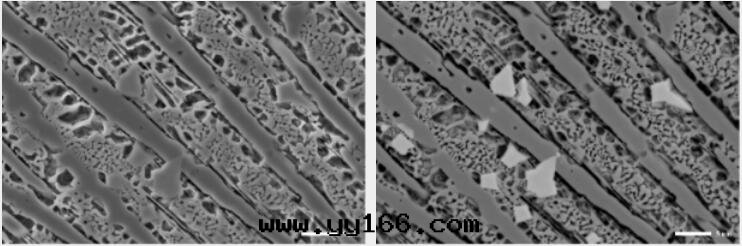 國(guó)仪量(liàng)子 SEM3200钨燈(dēng)丝(sī)掃描电子顯微鏡(jìng)