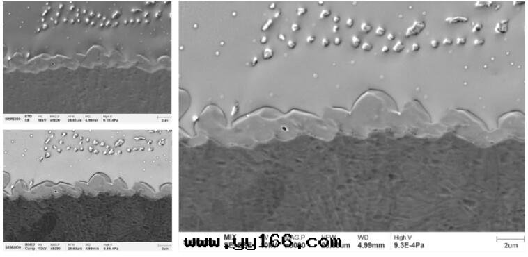 國(guó)仪量(liàng)子 SEM2000钨燈(dēng)丝(sī)掃描电子顯微鏡(jìng)