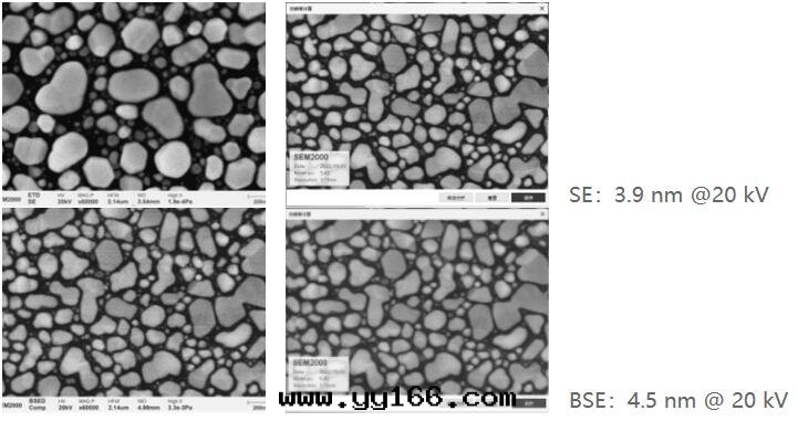 國(guó)仪量(liàng)子 SEM2000钨燈(dēng)丝(sī)掃描电子顯微鏡(jìng)