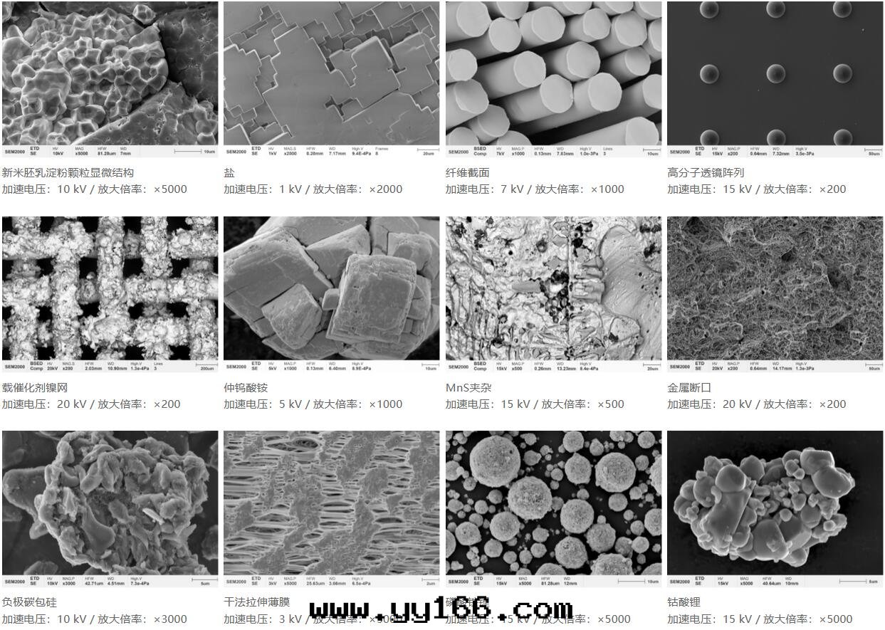 國(guó)仪量(liàng)子 SEM2000钨燈(dēng)丝(sī)掃描电子顯微鏡(jìng)