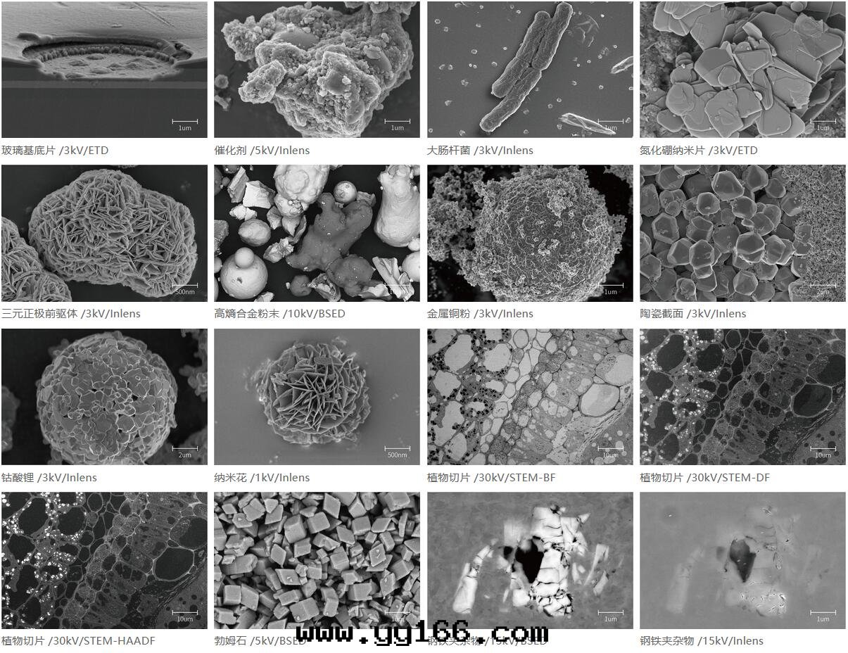 國(guó)仪量(liàng)子 SEM5000场(chǎng)發(fà)射掃描电子顯微鏡(jìng)