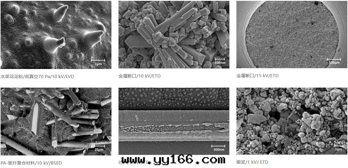 國(guó)仪量(liàng)子 SEM4000Pro场(chǎng)發(fà)射掃描电子顯微鏡(jìng)